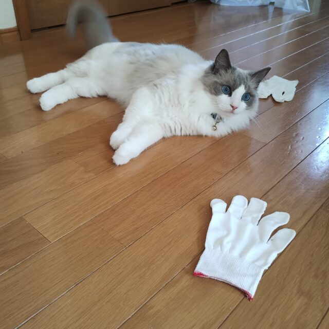 残念でした
