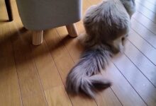 五月の陽ざしと