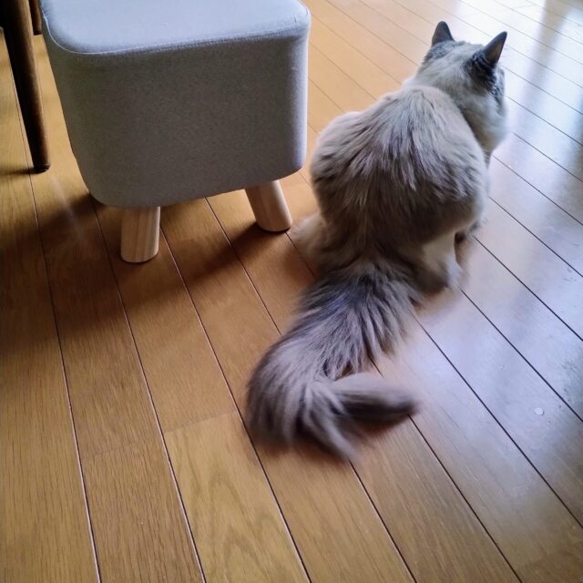 五月の陽ざしと