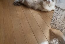 午前9時26分