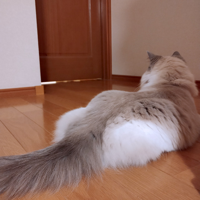 あわてなくていいよ