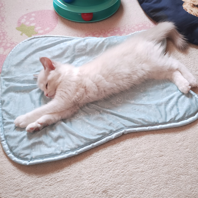 空飛ぶように