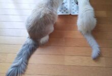 朝ごはんのあと