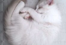 生まれて3ヶ月