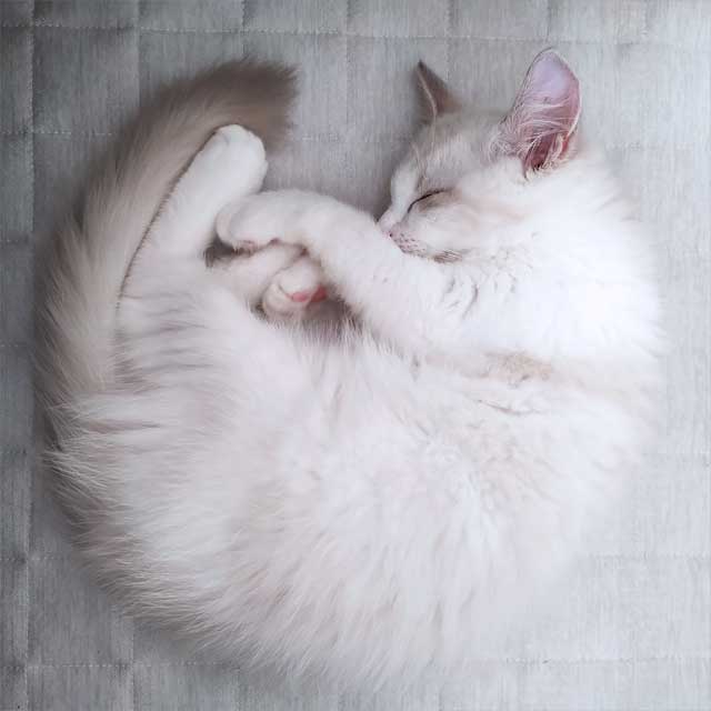 生まれて3ヶ月