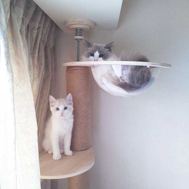 ゆきが来て一カ月